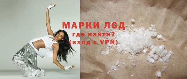 стаф Аркадак