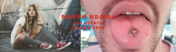 стаф Арсеньев