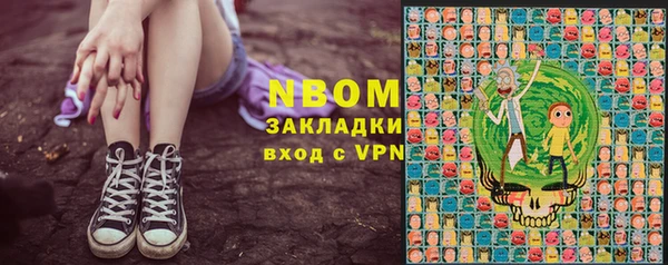 стаф Аркадак