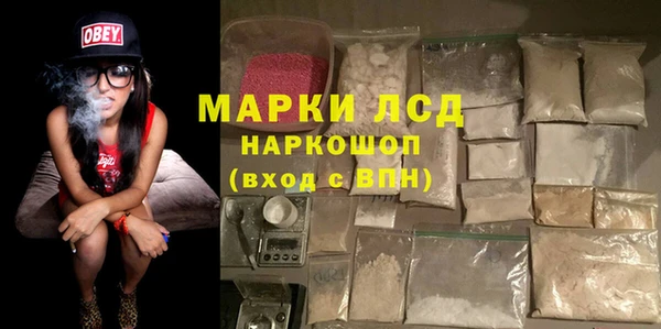 стаф Аркадак