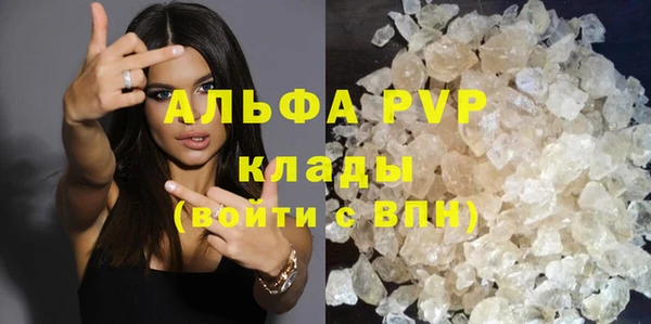 стаф Аркадак