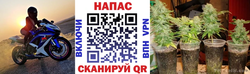 Бошки Шишки MAZAR  Снежногорск 